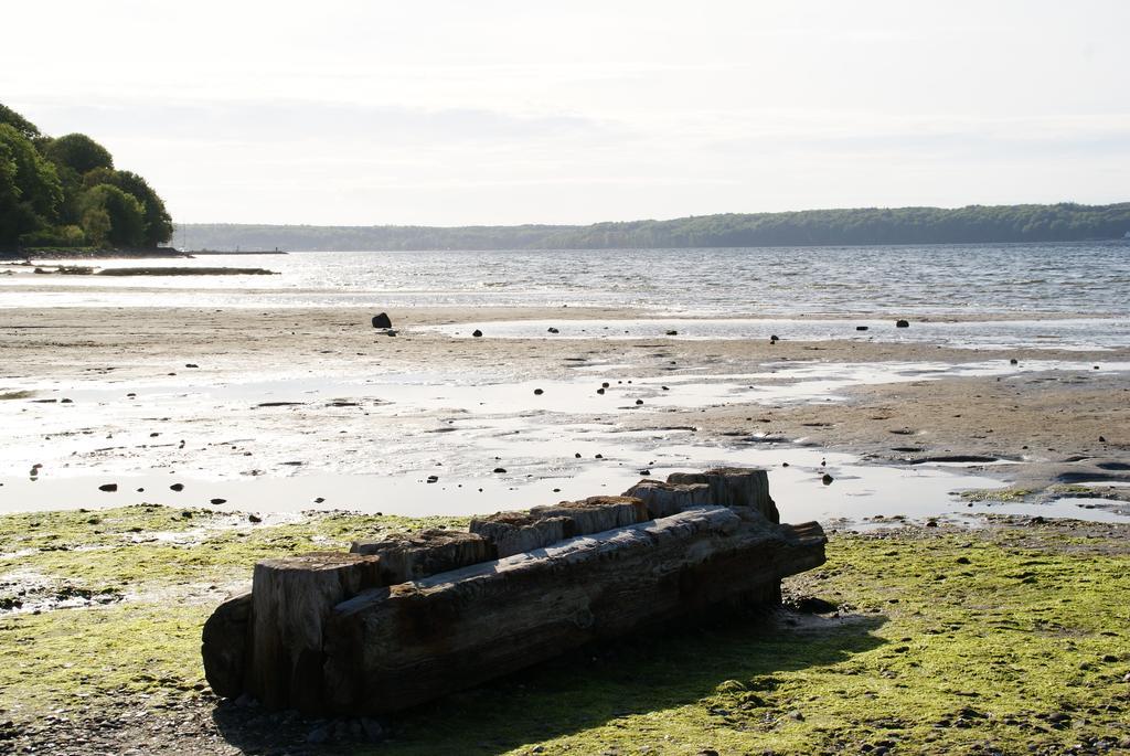 Unterkunfte Des Seesterns Flensburg Rum bild